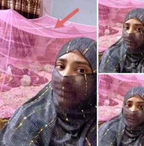 বাচ্চারা ঘুমিয়ে পড়েছে তাই মশারি টানাতে যাচ্ছিলাম হঠাৎ মশারির উপরে তাকিয়ে দেখি…see more